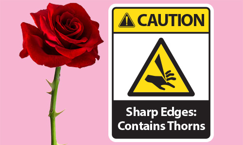 Caution: Roses have Thorns
